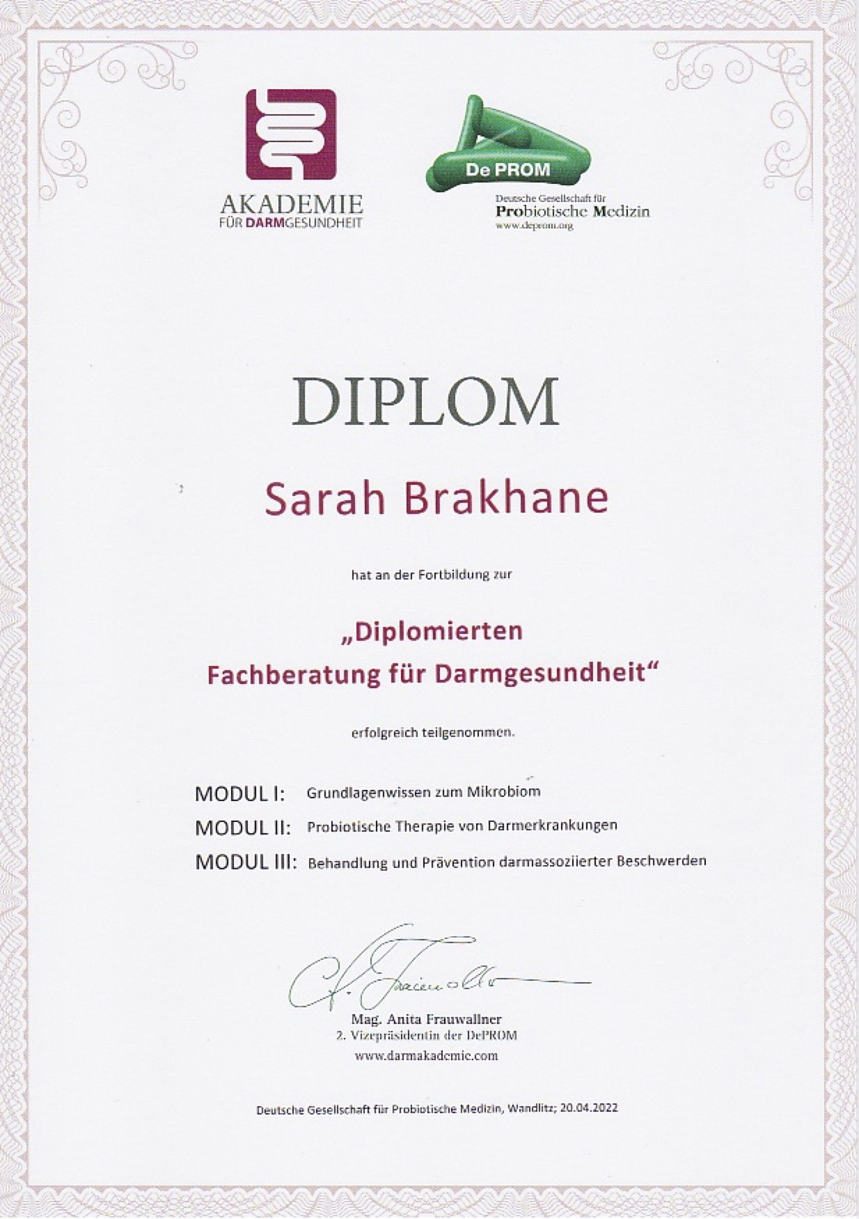 Diplom DF.jpg